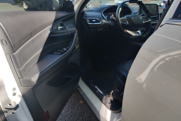 星途凌云 2019款 1.6T 两驱星曜版中控内饰20