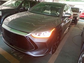 比亚迪 宋PLUS新能源 2021款 DM-i 51KM 尊荣型