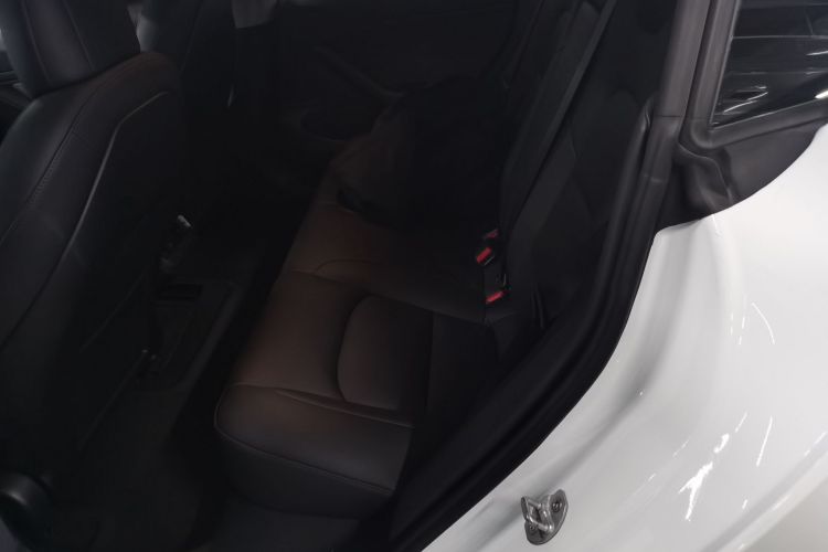 特斯拉 Model 3 2020款 改款 标准续航后驱升级版中控内饰21