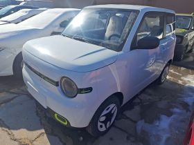 吉利银河 熊猫 2025款 210km 元气熊