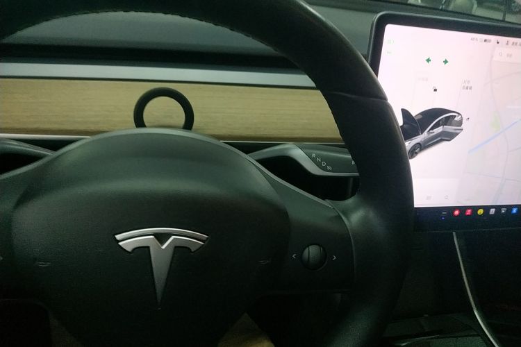 特斯拉 Model 3(进口) 2019款 长续航后驱版中控内饰18