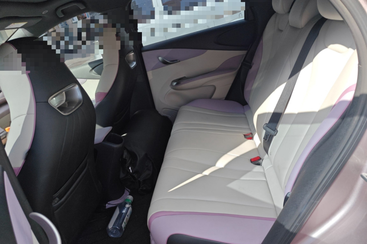 比亚迪 海豚 2021款 401km 骑士版中控内饰21