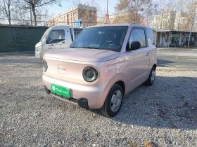 吉利银河 2024款 熊猫mini 200km 耐力熊
