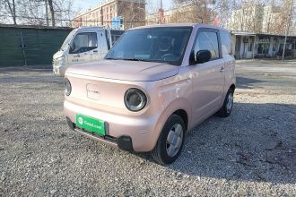 吉利银河 2024款 熊猫mini 200km 耐力熊