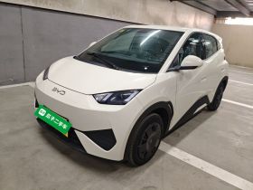 比亚迪 海鸥 2025款 305km 活力版