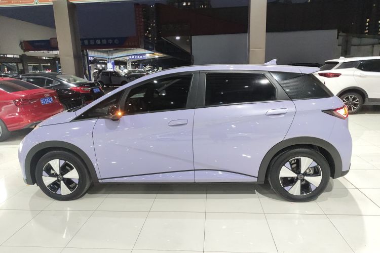 比亚迪 海豚 2023款 420km 自由版车身外观4