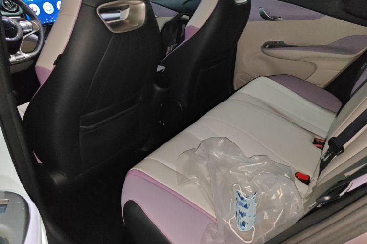 比亚迪 海豚 2021款 405km 时尚版中控内饰7004