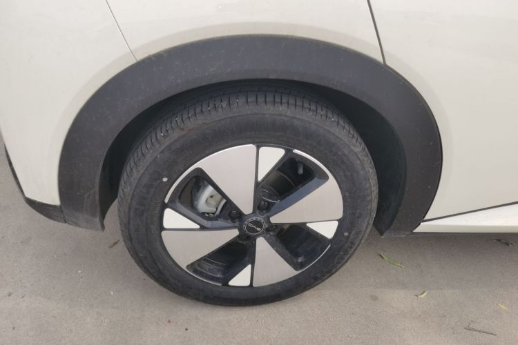 比亚迪 海豚 2023款 420km 自由版车身外观56