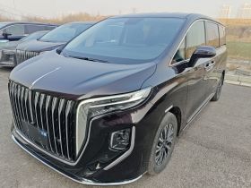 红旗HQ9 PHEV 2024款 2.0T 四驱商务版