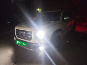 哈弗大狗 2022款 1.5T DCT两驱边牧版