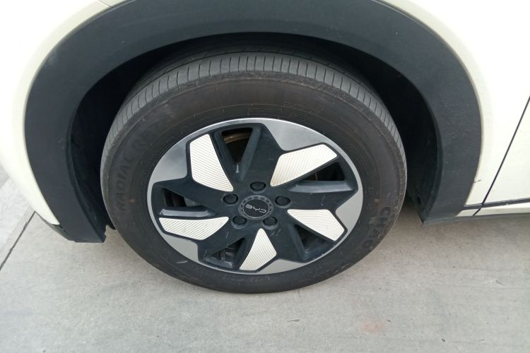 比亚迪 海豚 2024款 荣耀版 420km 时尚版车身外观6007