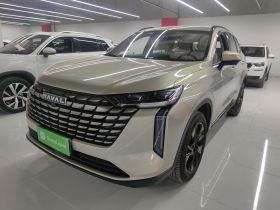 哈弗H6 2024款 2.0T 两驱Max