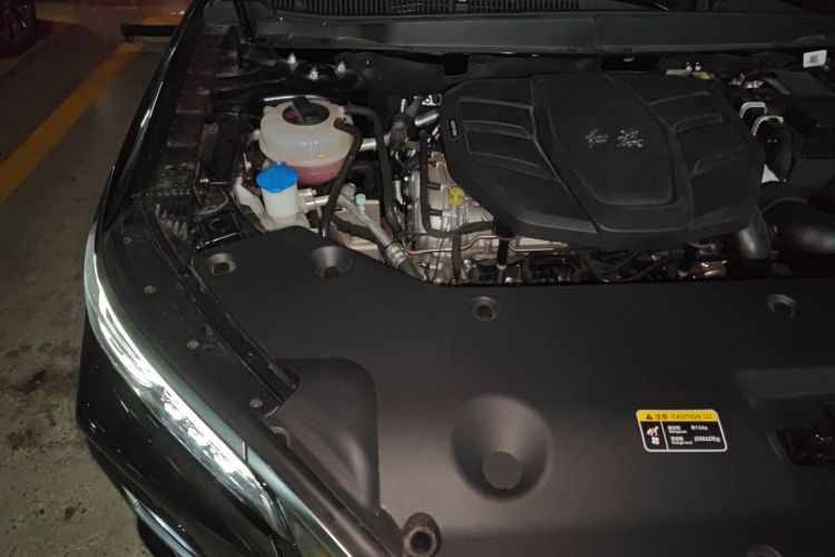 红旗HS5 2023款 2.0T 旗享Pro版局部细节9006