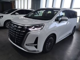 腾势D9 2023款 DM-i 965 尊享型