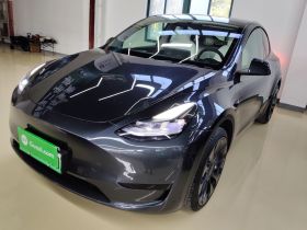 特斯拉 Model Y 2024款 后轮驱动版
