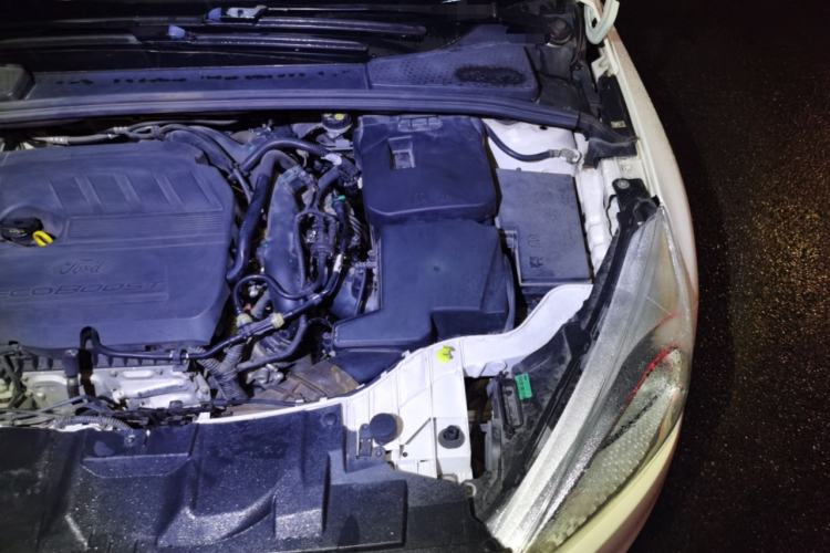 福特 福克斯 2017款 1.5T CTCC 白黑限量版局部细节9007