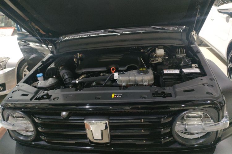 坦克300 2024款 2.0T 征服者机舱底盘24