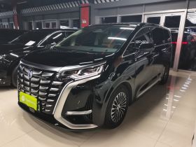 腾势D9 2024款 DM-i 980 四驱尊荣型