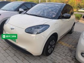 五菱汽车 五菱缤果 2025款 333km 悦享款