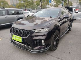 魏牌 VV7 2019款 升级款 2.0T 旗舰型 国VI