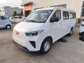 五菱汽车 五菱扬光 2024款 300KM 舒适型客车版 75kW