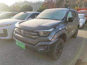 坦克400新能源 2024款 Hi4-T 越野版