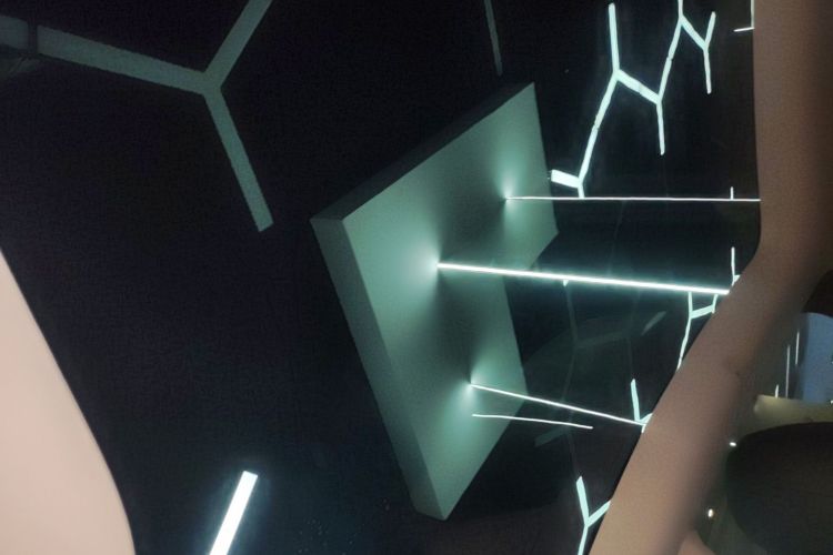 特斯拉 Model Y 2022款 改款 后轮驱动版中控内饰22