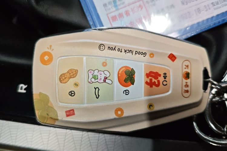 吉利汽车 帝豪 2022款 第4代 1.5L CVT精英型中控内饰11