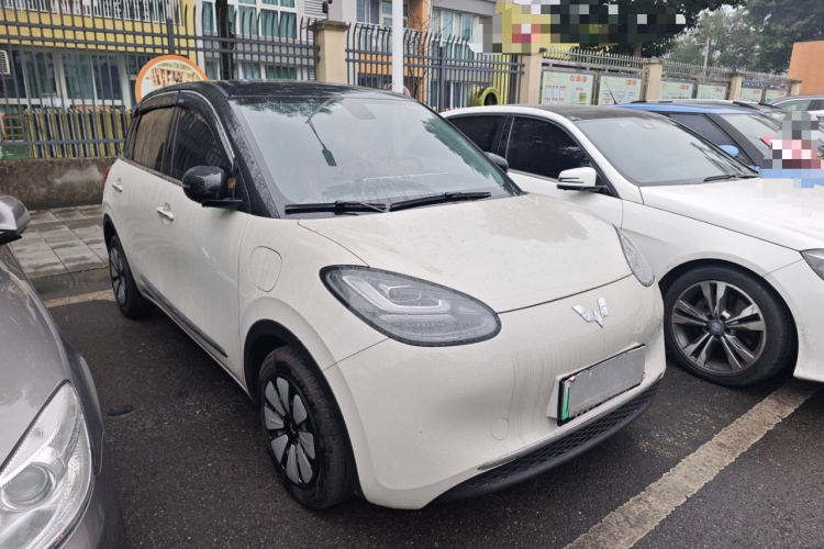 五菱汽车 五菱缤果 2023款 410km 灵犀尊享款车身外观6002