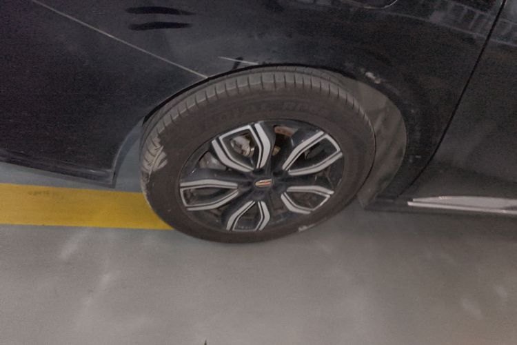 红旗HQ9 2023款 2.0T 智联旗享版车身外观6008