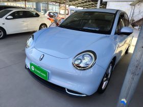 欧拉好猫 2023款 401km标准续航 尊荣型 磷酸铁锂