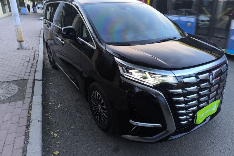 腾势D9 2024款 DM-i 980 四驱尊贵型车身外观3