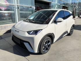 比亚迪 海鸥 2023款 飞翔版