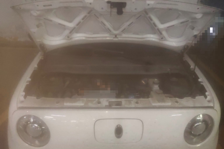 欧拉黑猫 2021款 351km 豪华型局部细节24