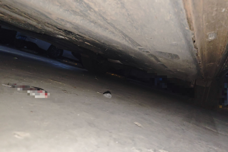 大众 途岳 2023款 300TSI 两驱皎月版局部细节9004