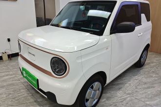 吉利银河 2024款 熊猫mini 200km 耐力熊