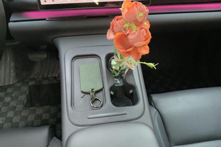 零跑汽车 零跑C10 2024款 530智享版局部细节18