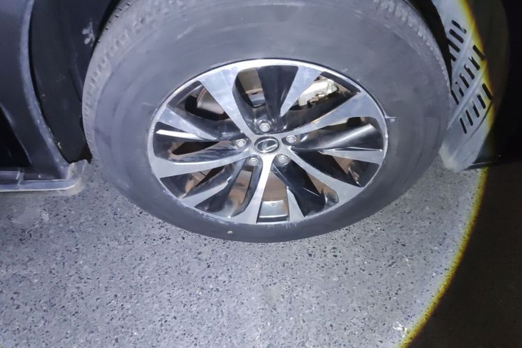 雷克萨斯RX 2020款 改款 300 两驱精英版车身外观10