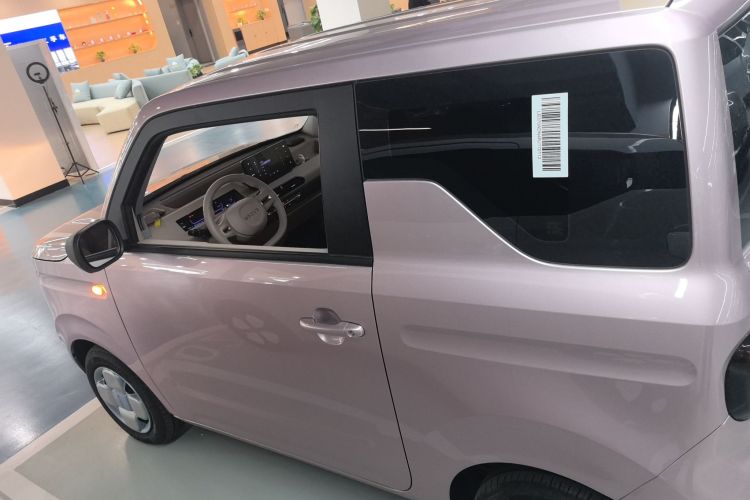 吉利银河 2024款 熊猫mini 200km 耐力熊车身外观4