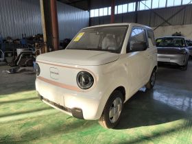 吉利银河 2024款 熊猫mini 200km 耐力熊