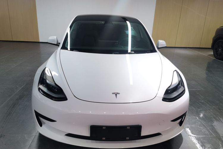 特斯拉 Model 3 2021款 标准续航后驱升级版 3D6车身外观6001