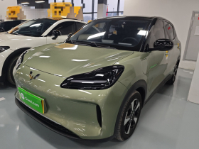 五菱汽车 五菱缤果PLUS 2024款 510km 旗舰版 四座版