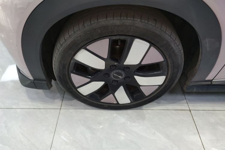 比亚迪 海豚 2021款 401km 骑士版车身外观6007