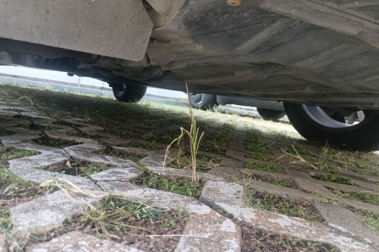 雷诺 科雷嘉 2017款 2.0L 四驱尊贵版局部细节9001