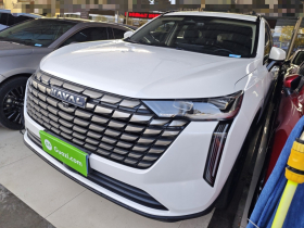 哈弗H6 2024款 1.5T 两驱Max