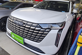 哈弗H6 2024款 1.5T 两驱Max