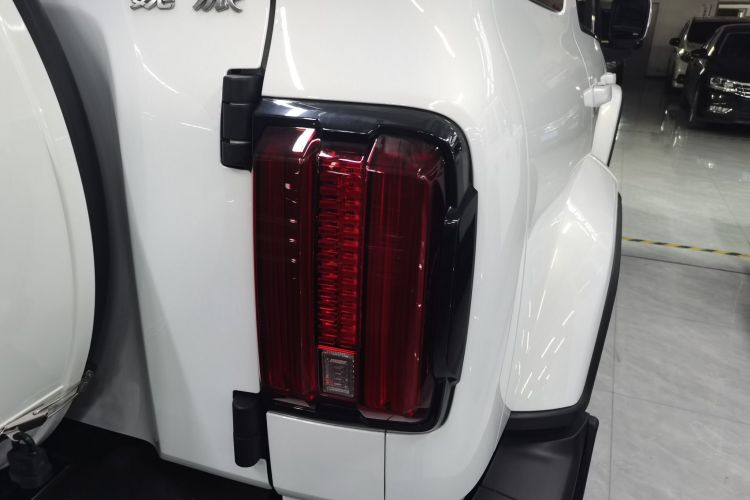 坦克300 2021款 城市版 2.0T 很有型车身外观9