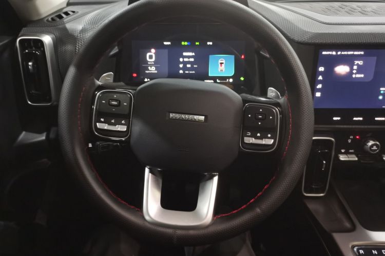 哈弗大狗 2024款 1.5T DCT边牧版局部细节13