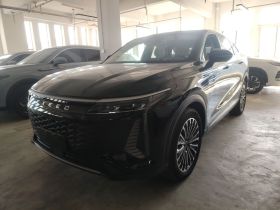 星途 瑶光C-DM 2024款 1.5T 长续航Pro