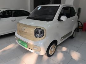 奔腾小马 2025款 222km 闪电马